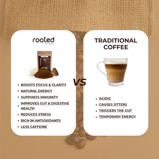 Mushroom Coffee | Lion’s Mane & Chaga | Espresso Flavour | Focus & Clean Energy