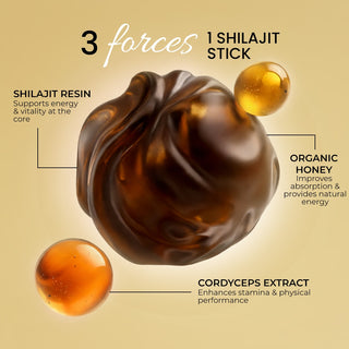Rooted Actives Pure Shilajit Honey Sticks with Cordyceps Mushroom | 30 Sticks