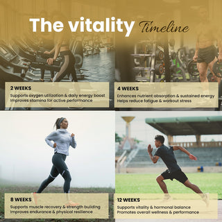 Rooted Actives Pure Shilajit Honey Sticks with Cordyceps Mushroom | 30 Sticks