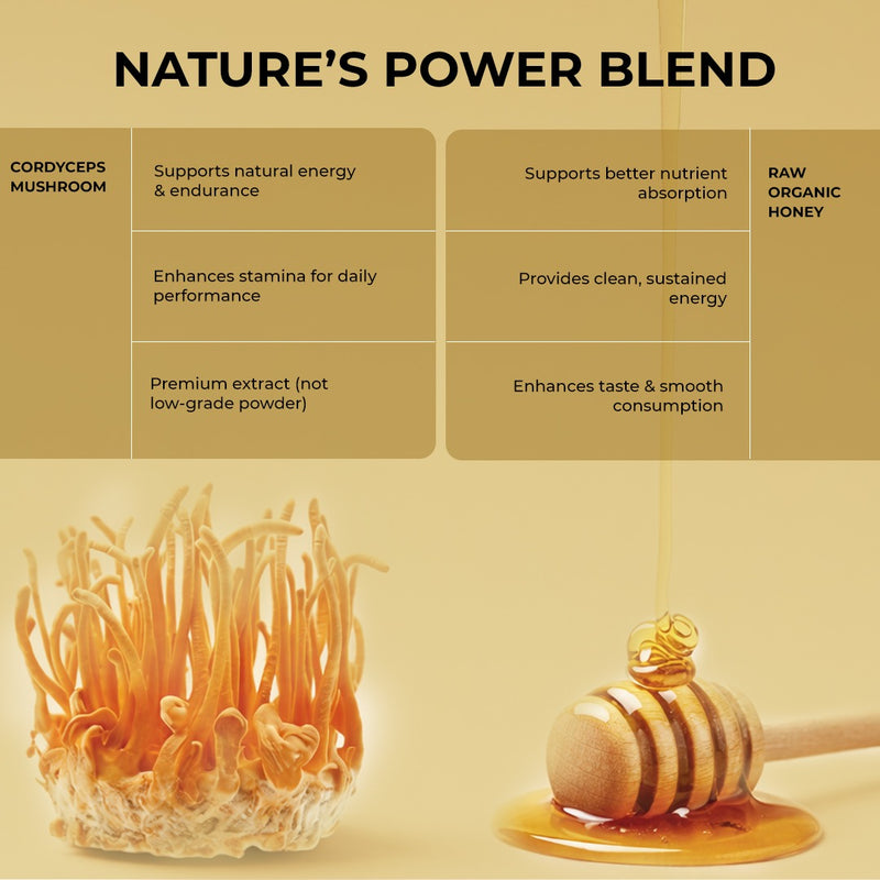 Rooted Actives Pure Shilajit Honey Sticks with Cordyceps Mushroom | 30 Sticks