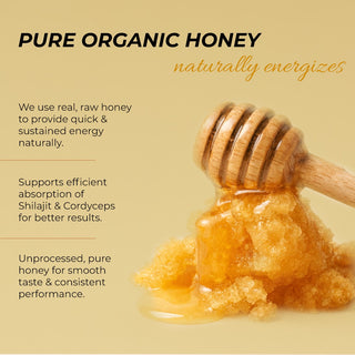 Rooted Actives Pure Shilajit Honey Sticks with Cordyceps Mushroom | 30 Sticks