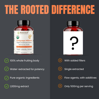 Organic Cordyceps Militaris Capsules Natural Stamina, Energy & Endurance Booster