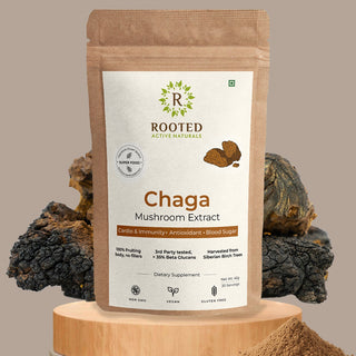 Siberian Chaga Powder for Immunity, Antioxidant Support & Daily Vitality