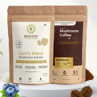 Lion’s Mane Powder x Wellness Mushroom Coffee for Focus & Calm Energy