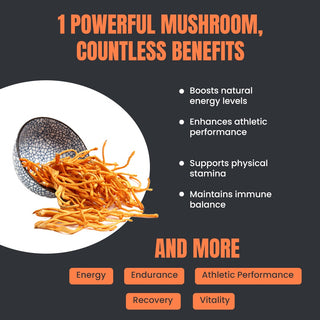 Organic Cordyceps Mushroom Extract for Stamina, Energy & Respiratory health (60 Veg Capsules)