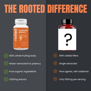 Organic Cordyceps Mushroom Extract for Stamina, Energy & Respiratory health (60 Veg Capsules)