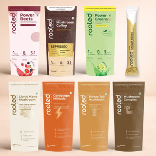 🎁 Functional Mushrooms & Drinks Sample Packs Combo