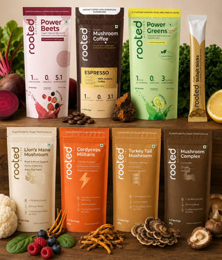 Functional Mushrooms & Drinks Sample Packs Combo