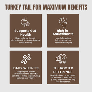 Turkey Tail Mushroom Extract Capsules