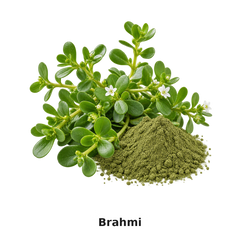 BRAHMI