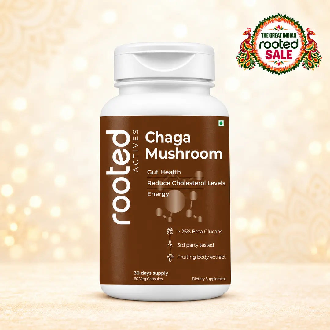 Chaga capsule