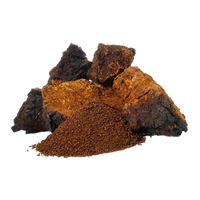 Chaga Mushroom