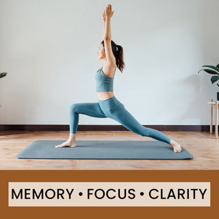 Brain Boost - Mushrooms & Ayurvedic Herbs Blend for Focus, Clarity & Cognitive Health