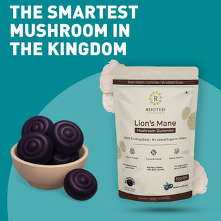 Organic Lion’s Mane Mushroom Gummies (Sugar-Free)