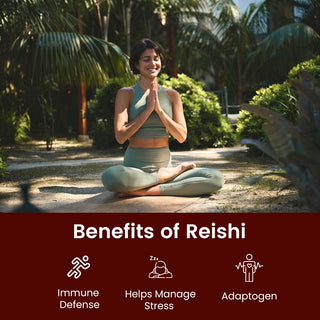Rooted Reishi Powder Pure Adaptogenic Mushroom for Daily Calm & Immune Balance