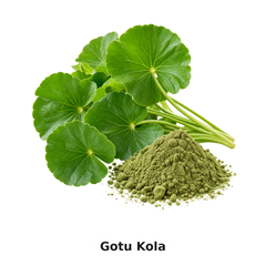 GOTU KOLA
