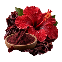 HIBISCUS EXTRACT