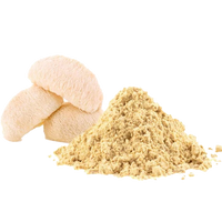 Lion's Mane Mushroom