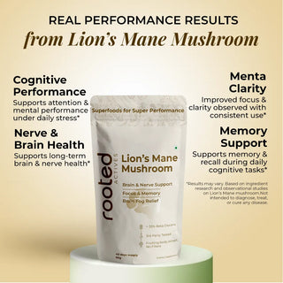 lions mane powder brief