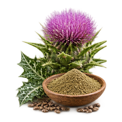 MILK THISTLE 80% SILYMARIN