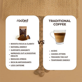mushroom vs traditional coffee 
