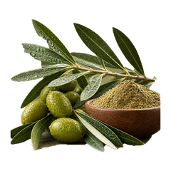 OLIVE LEAF EXTRACT