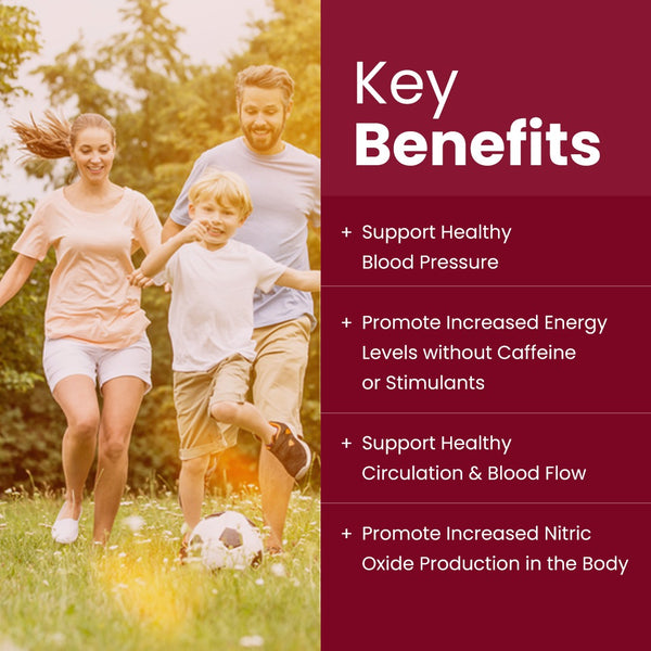 Rooted Actives  Power Beets - Beetroot + Amino's Drink Mix (Mixed Berry)