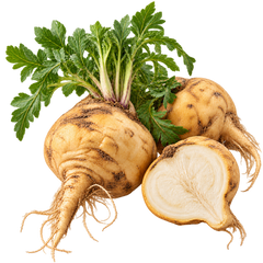 PERUVIAN MACA