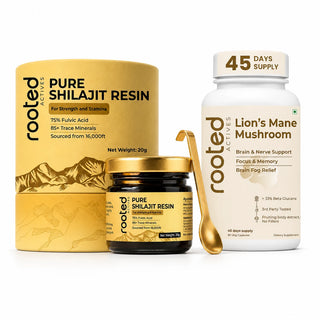 pure shilajit resin lions mane bundle