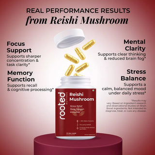 reishi mushroom capsule