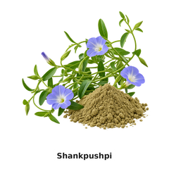SHANKHPUSHPI