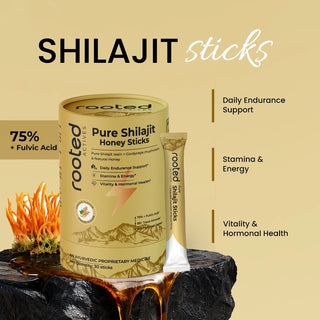 shilajit honey sticks benefits