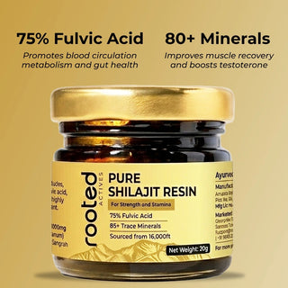 shilajit resin fulvic acid minerals