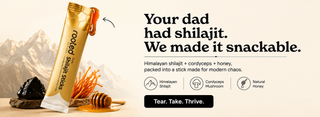 shilajit sticks