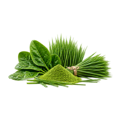 SPINACH + WHEATGRASS + BARLEY GRASS
