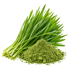WHEATGRASS