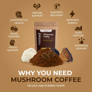 why you need mushroom coffee